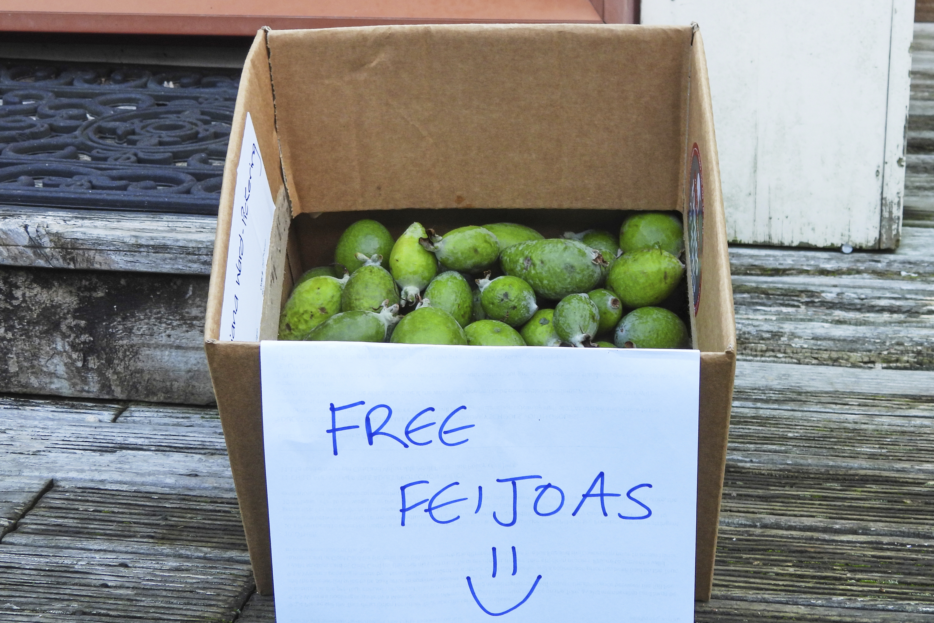 A box outside a house offering free feijoas is seen in Wellington, New Zealand, Sunday, May 11, 2025.<br />(Charlotte Graham-McLay / AP Photo)