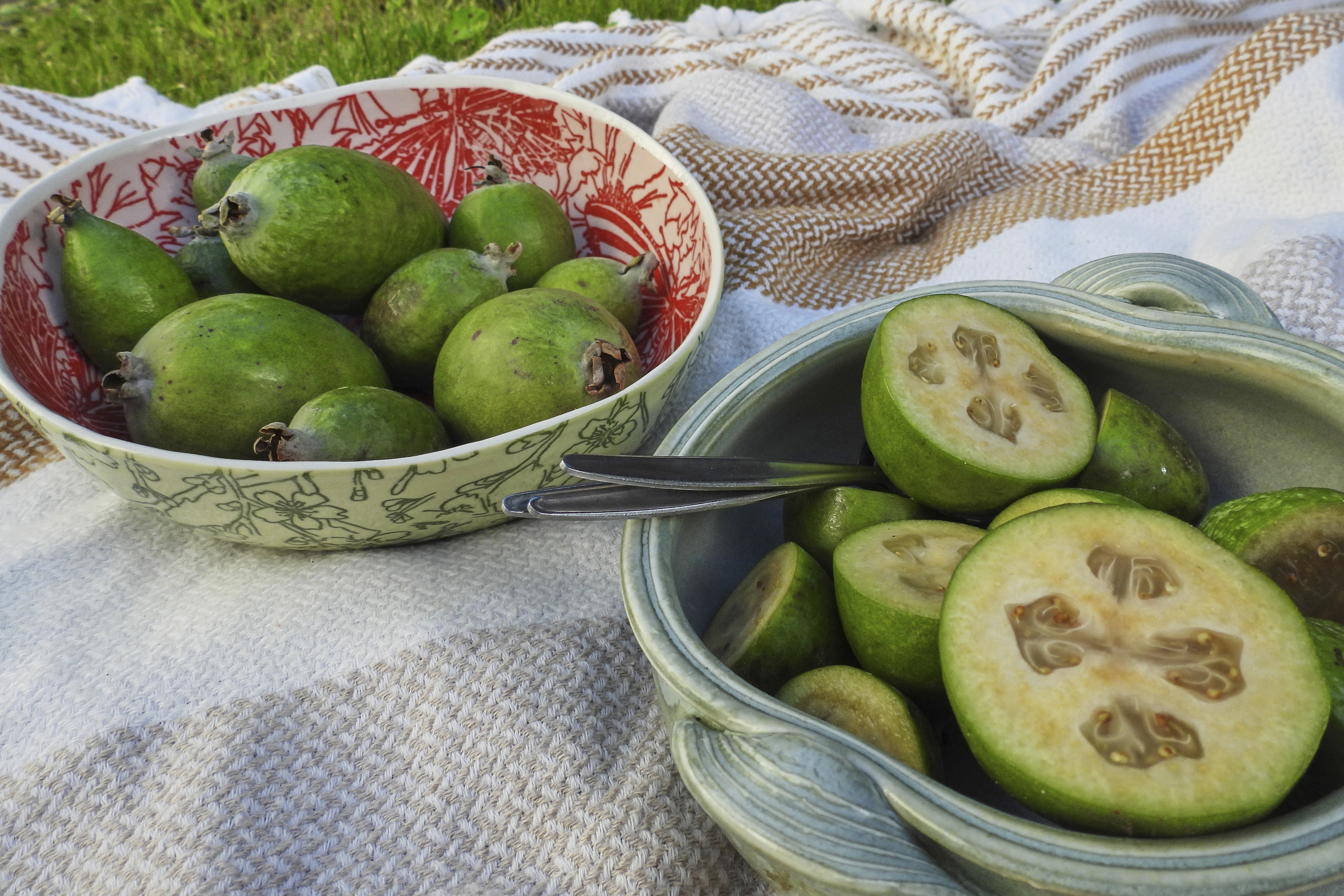 Feijoas is seen outside a house in Wellington, New Zealand, Monday, May 12, 2025.<br />(Charlotte Graham-McLay / AP Photo)