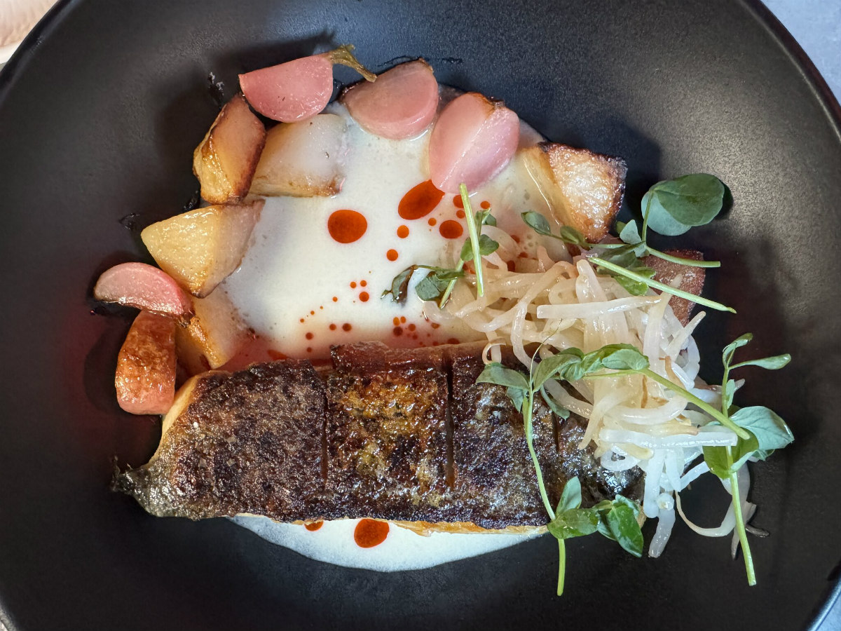 Crispy-skinned striped sea bass is served over a coconut ginger sauce and roasted radishes and potatoes finished with bean sprouts and a Sichuan peppercorn oil.<br />(Sarah Baker Hansen / Flatwater Free Press)