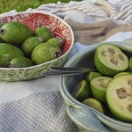 Feijoas is seen outside a house in Wellington, New Zealand, Monday, May 12, 2025. 
(Charlotte Graham-McLay / AP Photo)