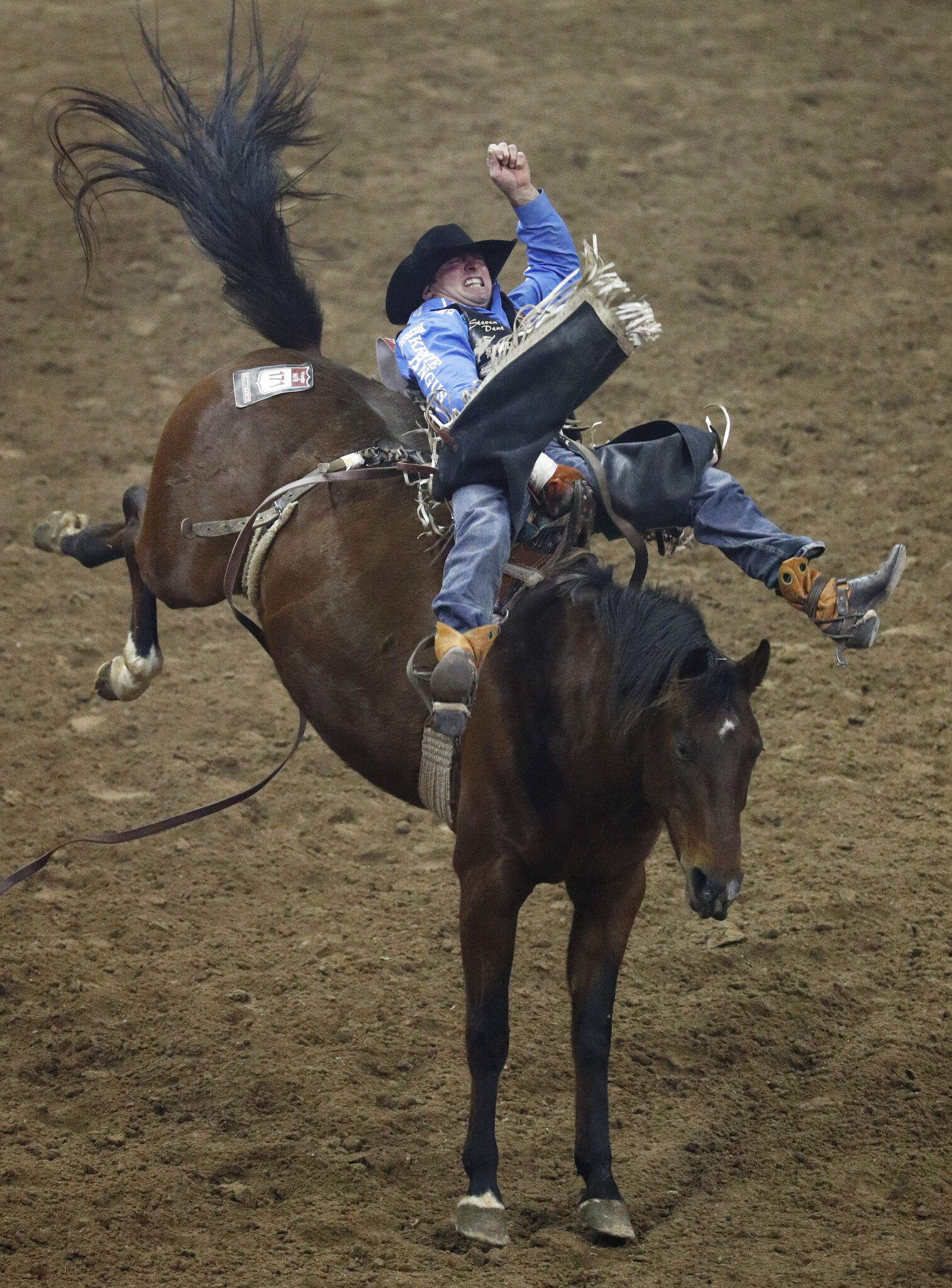 Steven Dent, of Mullen, Neb., competes in the bareback riding event during the seventh go-round of the 2018 National Finals Rodeo in Las Vegas.<br />(John Locher / AP Photo)