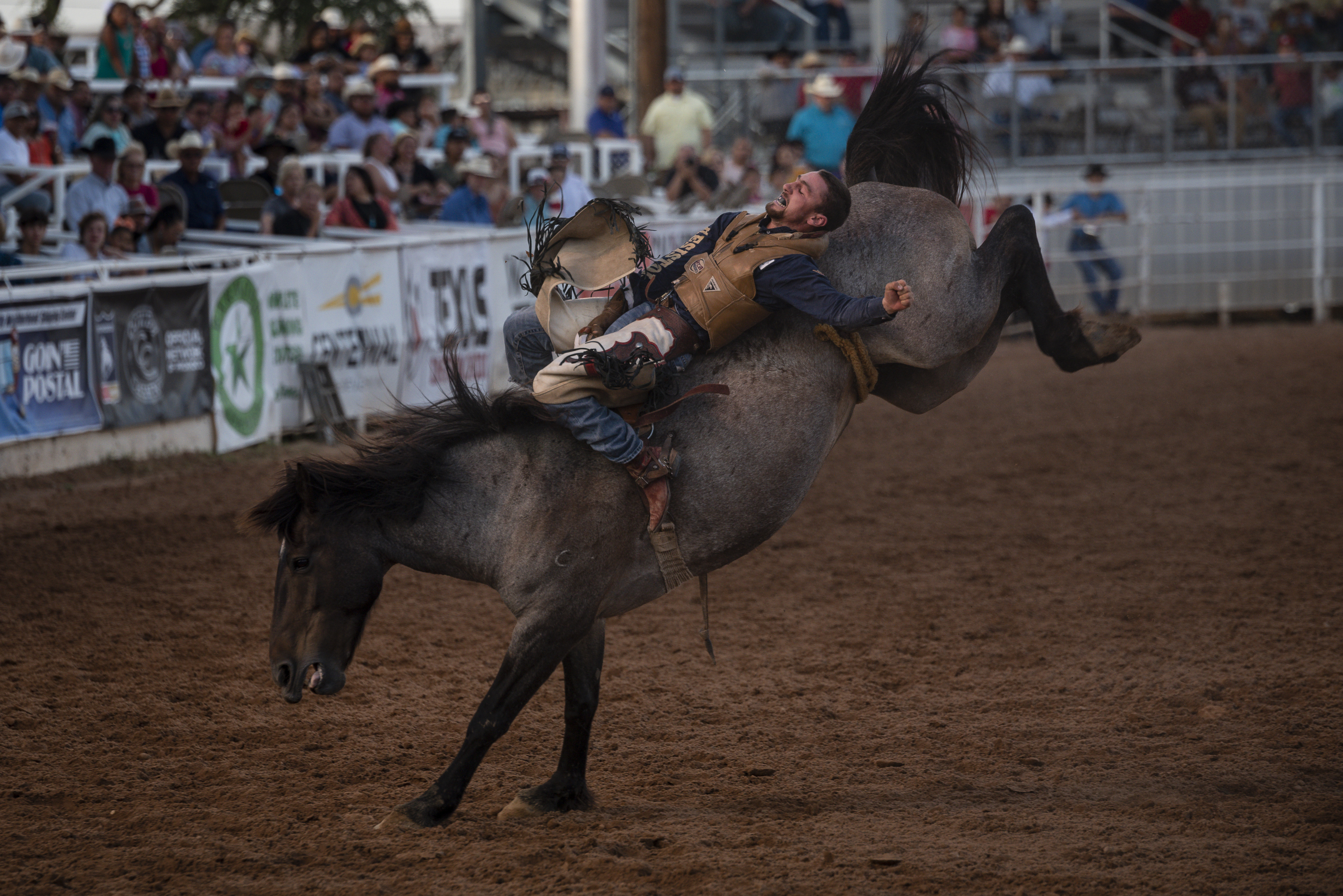 Bareback competitor Garrett Shadbolt of Merriman, NE rides First Kiss while competing in the first performance of the West of the Pecos Rodeo at the Buck Jackson Arena Wednesday, June 23, 2021 in Pecos, Texas.<br />(Eli Hartman / Odessa American via AP)