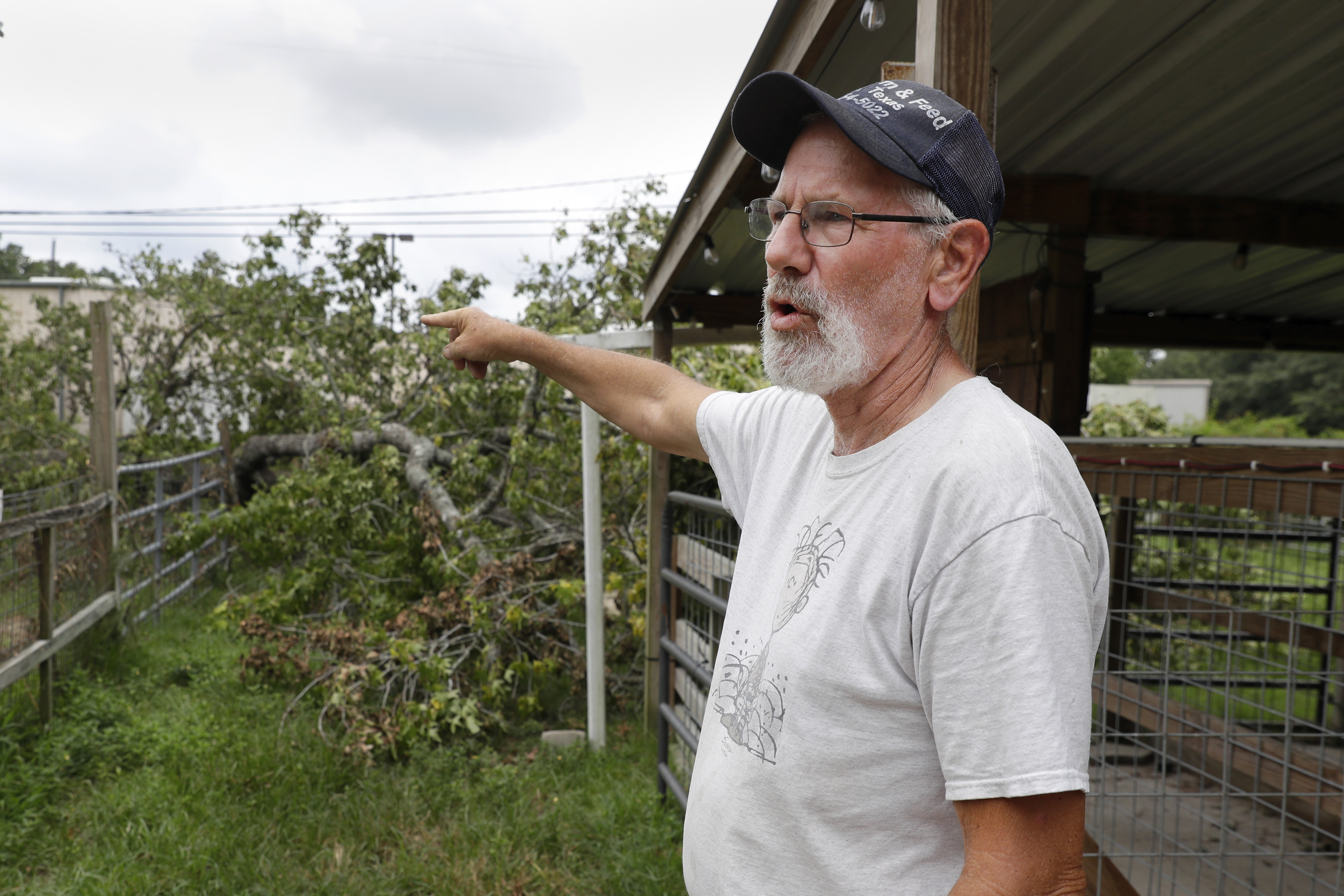 Chuck Ridder, owner of Knox Drive Farm and Feed, points out the uprooted tree that fell on his pens used by local 4H students, along with other impacts of hurricane Beryl on him, his feed store and customers Friday, July 12, 2024, in Porter, Texas. Ridder has always been a proponent of community banding together during hard times and has expanded bartering and extending credit for his customers as they all work to recover from Beryl.<br /> (Michael Wyke / AP Photo)