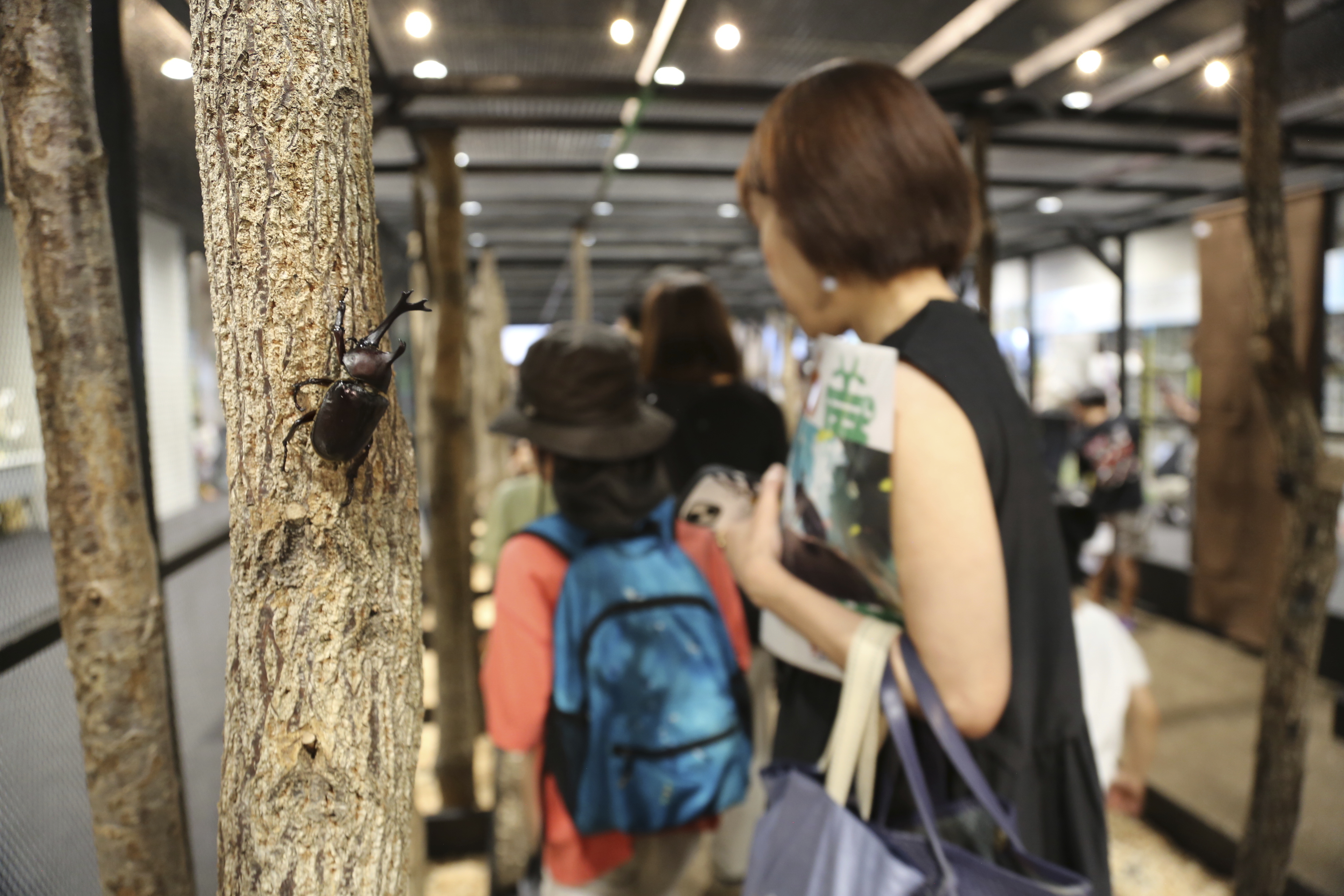 People walk around a cage to look at bugs at an exhibition devoted to insects in Tokyo, Thursday, July 31, 2025.<br />(Yuri Kageyama / AP Photo)