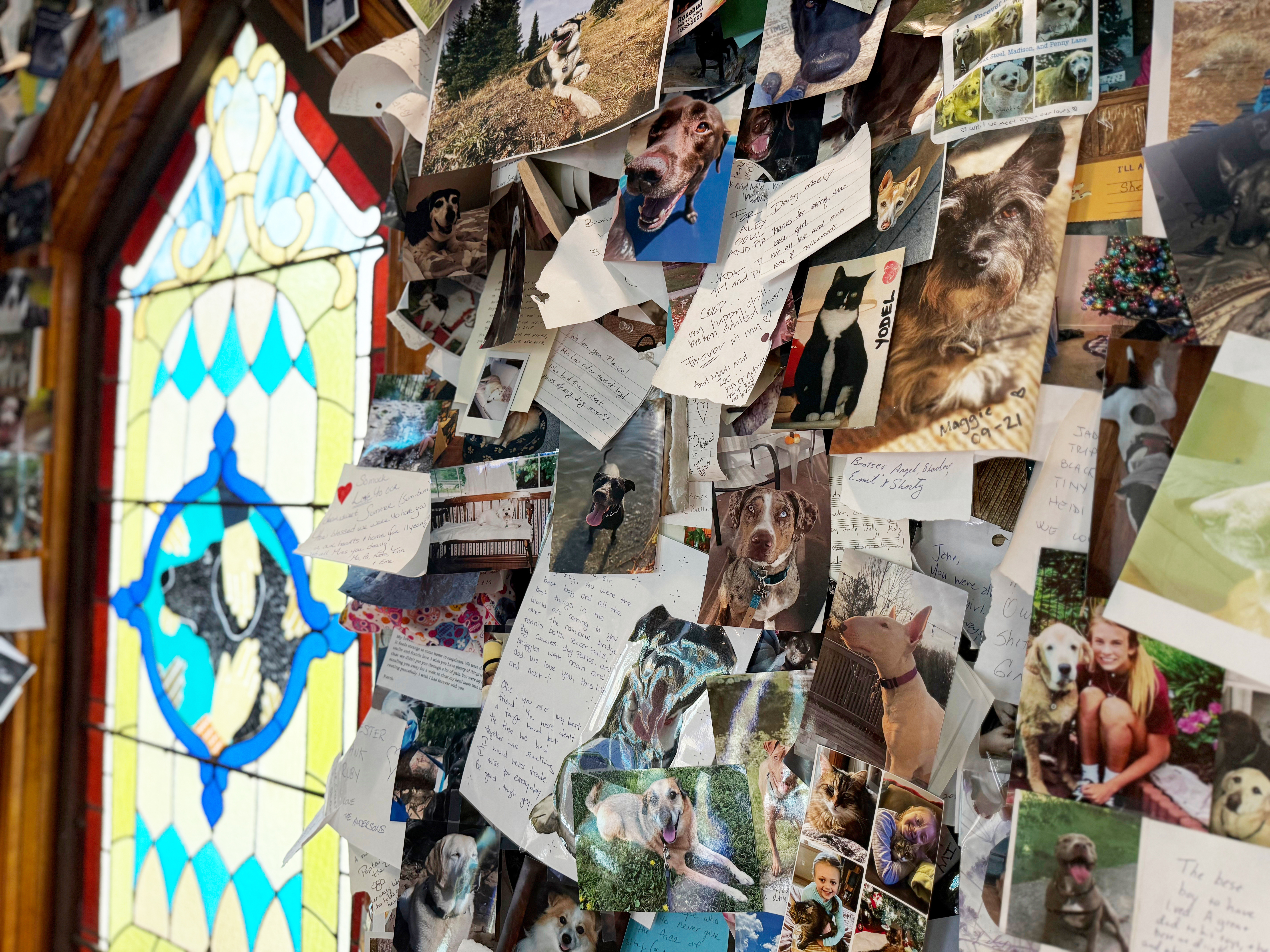 Thousands of photos of dogs and notes left by pet owners cover the walls inside the Dog Chapel at Dog Mountain, Thursday, Aug. 7, 2025, in St. Johnsbury, Vt.<br />(Amanda Swinhart / AP Photo)