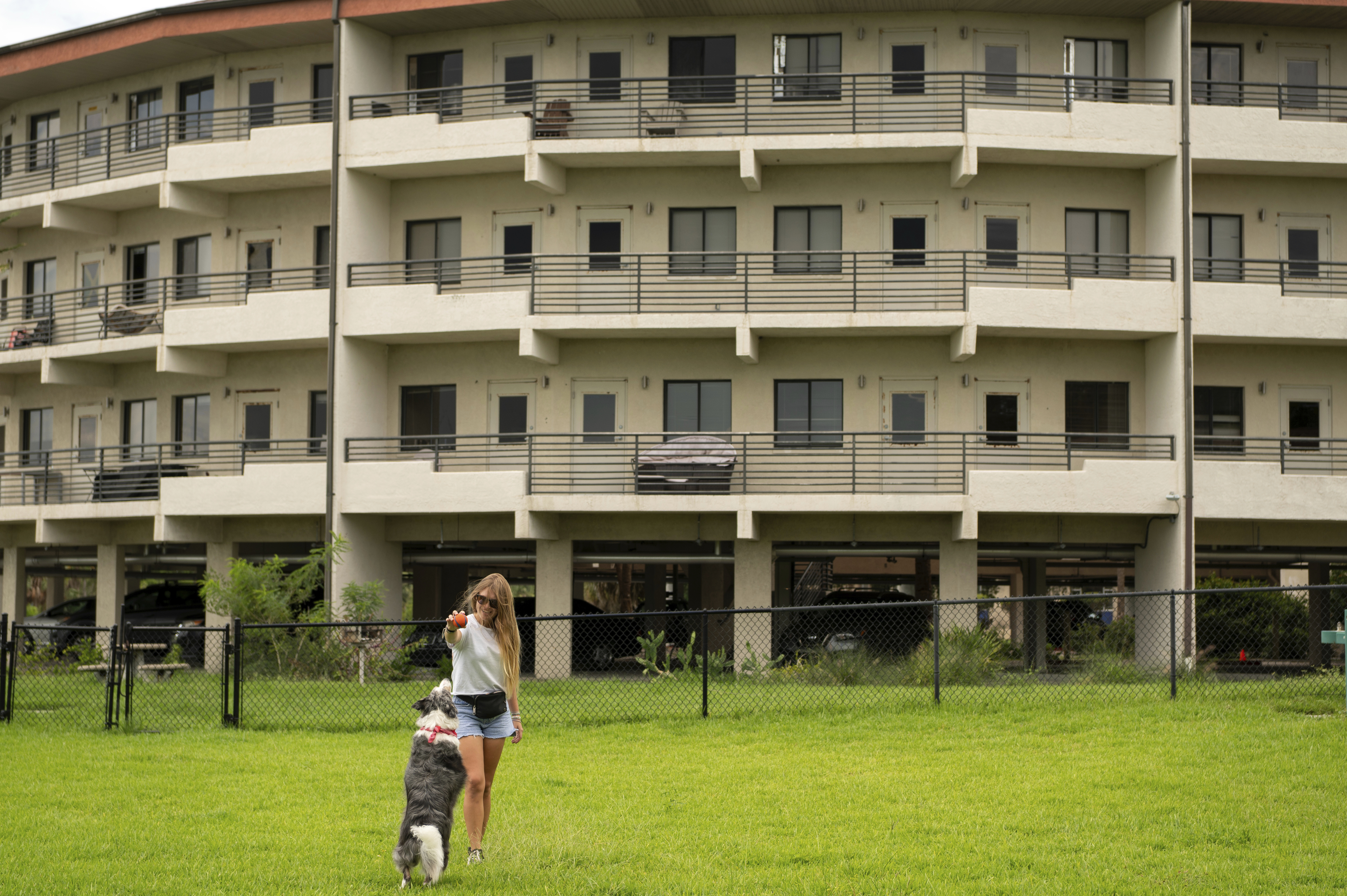 Sophie Nocera, 21, a senior at Eckerd College, plays with her dog Zuco on Wednesday, Aug. 20, 2025 in St. Petersburg, Fla.<br /> (Tina Russell / AP Photo)