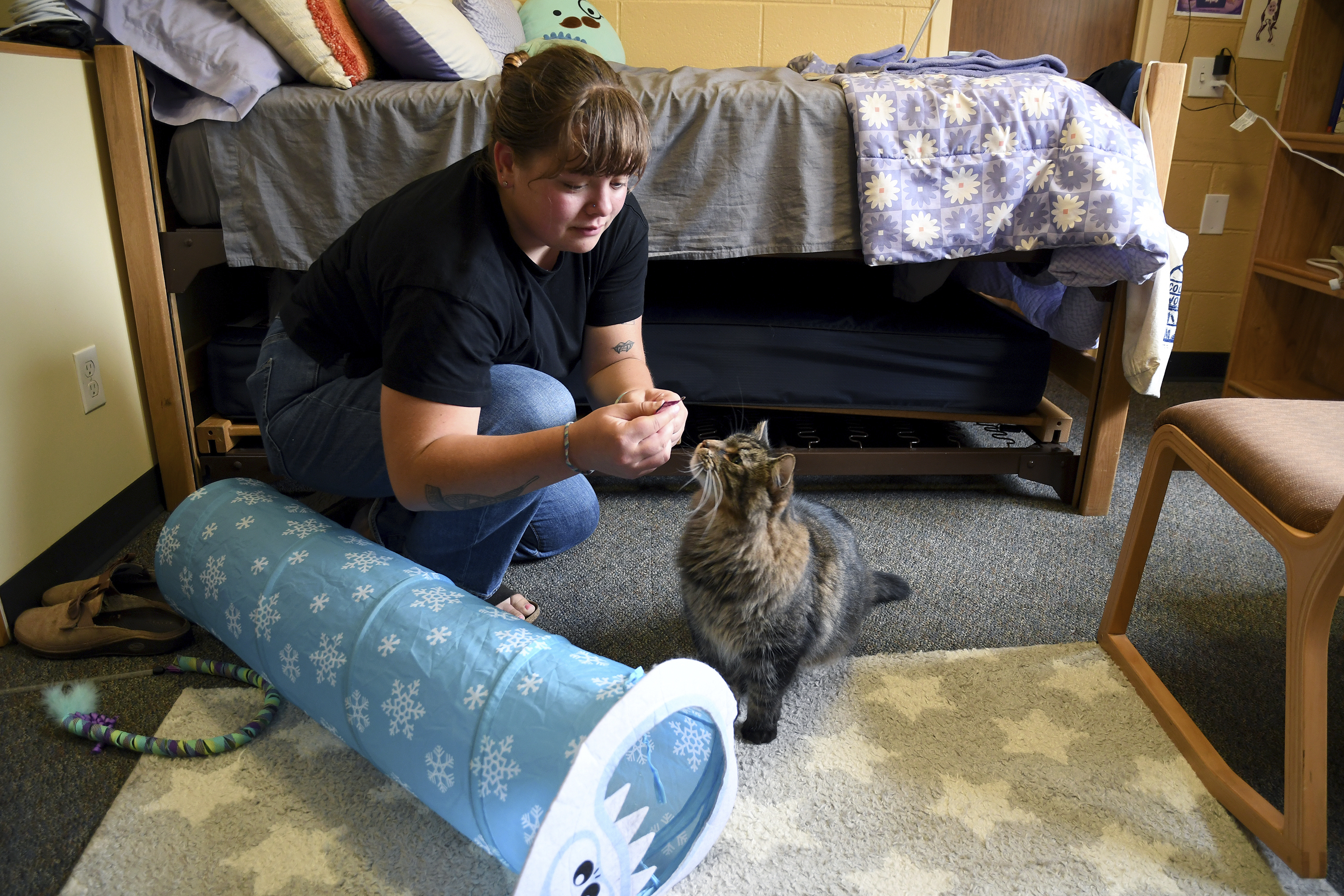 Student Molly Cheer gives her pet comfort cat, Louie, a treat in her dorm room at the University of Northern Colorado in Greeley, Colo., on Monday, Aug. 25, 2025.<br />(Thomas Peipert / AP Photo)