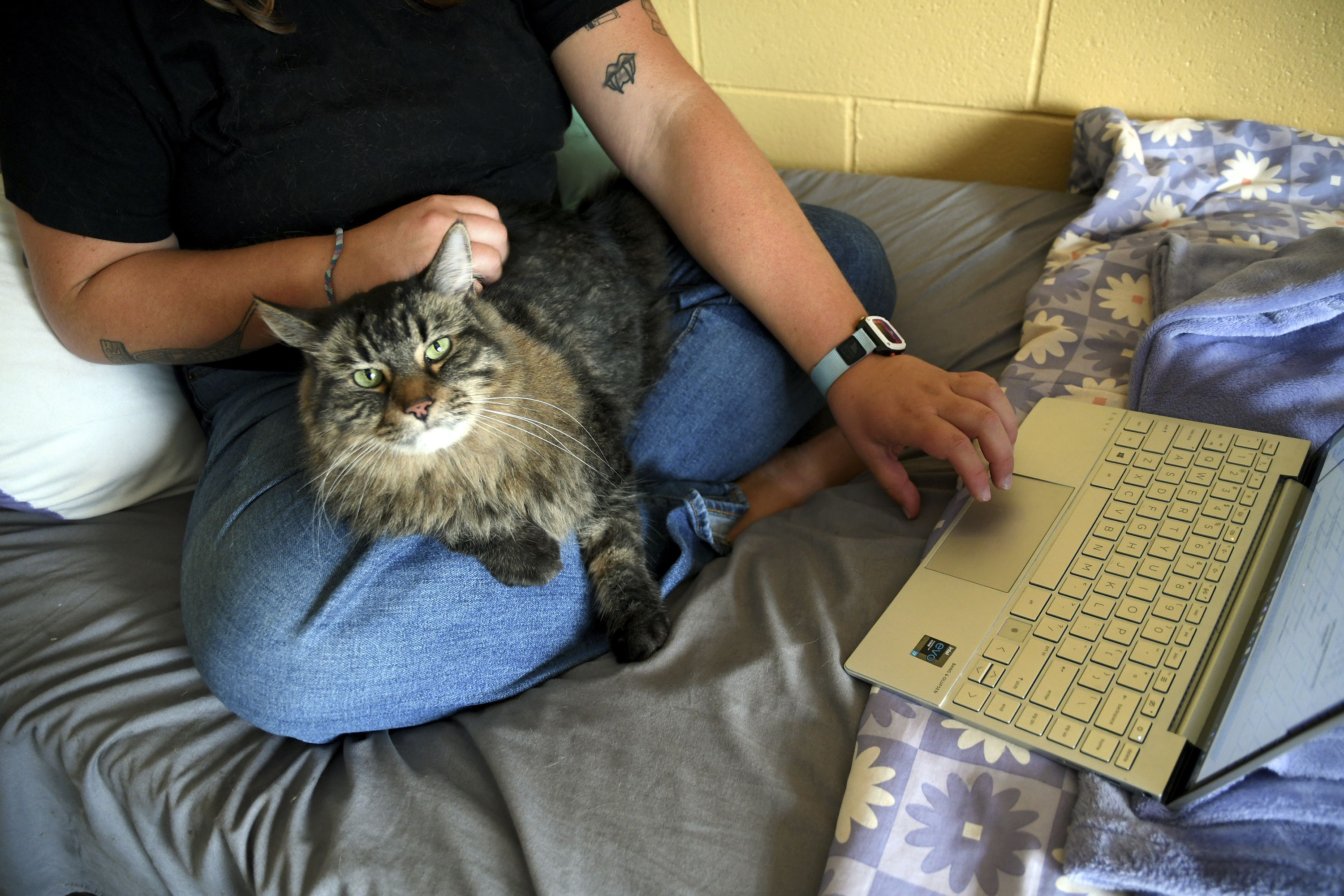 Student Molly Cheer sits with her pet comfort cat, Louie, as she looks at upcoming course work in her dorm room at the University of Northern Colorado in Greeley, Colo., on Monday, Aug. 25, 2025.<br />(Thomas Peipert / AP Photo)
