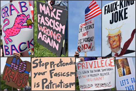 Signs being held at the ‘No Kings’ protest in Tom Hanafan River’s Edge Park on June 14, 2025.<br />(Carla Chance / The Daily Record)