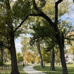 The City of Omaha is exploring a pact with the Lozier Foundation to form the Miller Park Trust, wherein the philanthropist organization would manage and cover costs of Miller Park pavilion programming and park grounds maintenance.
(Courtesy of City of Omaha Parks and Recreation)