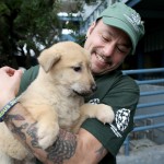In this image released on Thursday, March 19, 2015, 57 dogs rescued by Humane Society International and Change for Animals Foundation from a dog meat farm in Hongseong, South Korea, arrive in San Francisco. 
(Sammy Dallal / AP Images for Humane Society International)