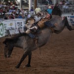 Bareback competitor Garrett Shadbolt of Merriman, NE rides First Kiss while competing in the first performance of the West of the Pecos Rodeo at the Buck Jackson Arena Wednesday, June 23, 2021 in Pecos, Texas. 
(Eli Hartman / Odessa American via AP)