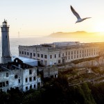 A bird flies above Alcatraz Island on Sunday, May 4, 2025, in the San Francisco Bay, Calif.
 (Noah Berger / AP Photo)