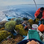 Fisherman Photis Gaitanos collects fish from nets off the coast of Larnaca, Cyprus, in the eastern Mediterranean, early Saturday, Dec. 20, 2025.
(Petros Karadjias / AP Photo)