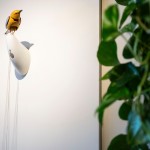 Molly, a singing and dancing mechanical bird, by Bliss Kolb, is displayed at Art of Play, Tuesday, Oct. 13, 2026, in the Brooklyn borough of New York.
(Yuki Iwamura / AP Photo)