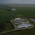 Hog farming facilities owned by Pillen Family Farms outside the town of Albion. Prairie 1 Repro Farm is pictured at front, and Prairie 2 Repro Farm is behind. Pillen Family Farms, like many other big ag and livestock operations, relies on migrant workers. The New York Times and the Flatwater Free Press found that Pillen Family Farms has long employed undocumented workers. 
(Loren Elliott / Flatwater Free Press)