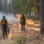Crew members use drip torches to ignite a prescribed burn in Southwest Washington. 
(Alex Brown / Stateline)

