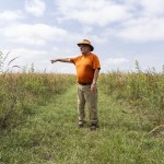 David Wedin, who formerly oversaw the Nine-Mile Prairie near Lincoln, points out various types of prairie grasses there on Sept. 17. 
(Lily Smith / Flatwater Free Press)