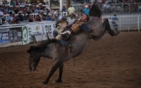 Bareback competitor Garrett Shadbolt of Merriman, NE rides First Kiss while competing in the first performance of the West of the Pecos Rodeo at the Buck Jackson Arena Wednesday, June 23, 2021 in Pecos, Texas. 
(Eli Hartman / Odessa American via AP)