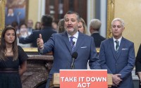 Sen. Ted Cruz, R-Texas, speaks about a bill to help protect victims of deepfakes and revenge porn, at the Capitol in Washington, Tuesday, June 18, 2024. 
(J. Scott Applewhite / AP Photo)