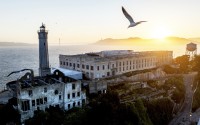 A bird flies above Alcatraz Island on Sunday, May 4, 2025, in the San Francisco Bay, Calif.
 (Noah Berger / AP Photo)