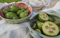 Feijoas is seen outside a house in Wellington, New Zealand, Monday, May 12, 2025. 
(Charlotte Graham-McLay / AP Photo)
