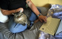 Student Molly Cheer sits with her pet comfort cat, Louie, as she looks at upcoming course work in her dorm room at the University of Northern Colorado in Greeley, Colo., on Monday, Aug. 25, 2025. 
(Thomas Peipert / AP Photo)