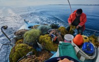 Fisherman Photis Gaitanos collects fish from nets off the coast of Larnaca, Cyprus, in the eastern Mediterranean, early Saturday, Dec. 20, 2025. 
(Petros Karadjias / AP Photo)