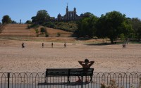A man sits on a bench in Greenwich Park amid dried grass in London, Tuesday, Aug. 11, 2026. 
(Kin Cheung / AP Photo)