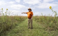 David Wedin, who formerly oversaw the Nine-Mile Prairie near Lincoln, points out various types of prairie grasses there on Sept. 17. 
(Lily Smith / Flatwater Free Press)