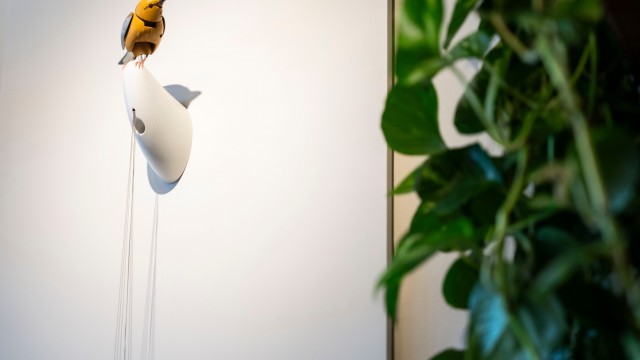Molly, a singing and dancing mechanical bird, by Bliss Kolb, is displayed at Art of Play, Tuesday, Oct. 13, 2026, in the Brooklyn borough of New York.
(Yuki Iwamura / AP Photo)