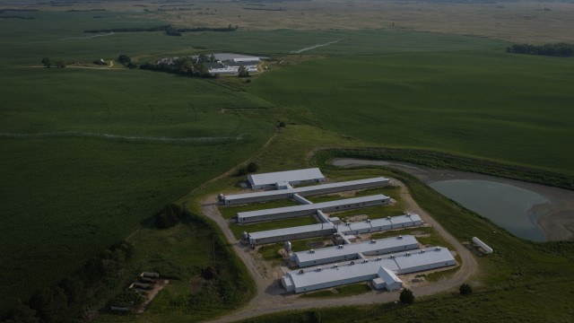 Hog farming facilities owned by Pillen Family Farms outside the town of Albion. Prairie 1 Repro Farm is pictured at front, and Prairie 2 Repro Farm is behind. Pillen Family Farms, like many other big ag and livestock operations, relies on migrant workers. The New York Times and the Flatwater Free Press found that Pillen Family Farms has long employed undocumented workers. 
(Loren Elliott / Flatwater Free Press)