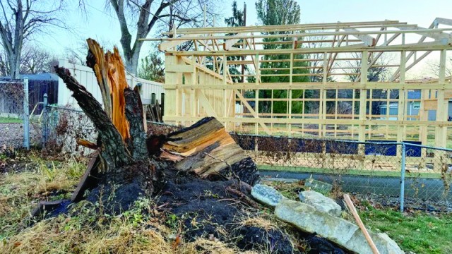 A broken stump, seen here on Dec. 18, 2025, is all that remains of a 30-foot pine tree that stood in the backyard of Rick Peters in Lincoln. It fell during an Aug. 9, 2025, storm that produced 90-mph wind gusts and destroyed the garage of Peters' neighbor, Justin Mains, who had to pay out of pocket to rebuild the structure in the background.
(Nick Loomis / The Midwest Newsroom / Nebraska Public Media)