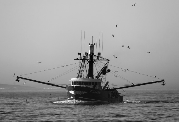 Fishing Fee Case May Lead Supreme Court to Limit US Agency Powers